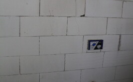 s3e1w598wl_____IMG_6465