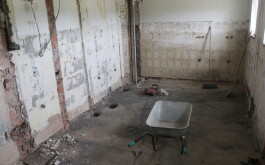 8fjpa0m86h_____IMG_6487