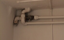 8fjpa0m86h_____IMG_6487