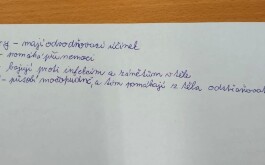 acnjdeyg9e_____Obrázek WhatsApp, 2023-10-24 v 16.26.56_1ee031bb