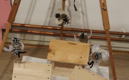 4f2iz442bs_____IMG_9516