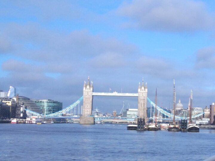 IMG_20240318_080819_1.jpg