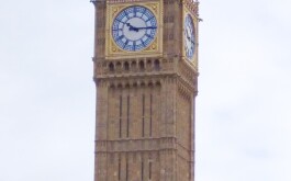 xxwl6olc0q_____IMG_20240318_102201_1