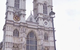 xxwl6olc0q_____IMG_20240318_102201_1