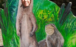 38gyymgro1_____IMG-20240516-WA0041