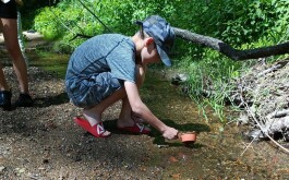 38gyymgro1_____IMG-20240516-WA0041