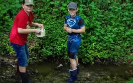 38gyymgro1_____IMG-20240516-WA0041