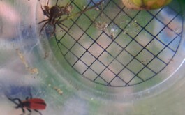 38gyymgro1_____IMG-20240516-WA0041