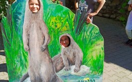 38gyymgro1_____IMG-20240516-WA0041