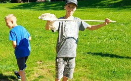 38gyymgro1_____IMG-20240516-WA0041