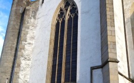 tmlu3danol_____IMG_20240524_104715_BURST1