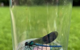 7y5qqqeevv_____IMG_2404