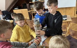 7y5qqqeevv_____IMG_2404