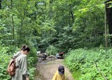 IMG_2582.JPG