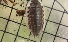 7y5qqqeevv_____IMG_2404