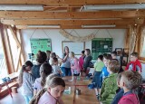 e7c551ef-ca01-4c80-81f3-dd7a0f3777c5.jpg