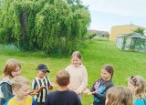 IMG_20240613_182141.jpg
