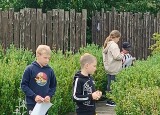 IMG_20240613_170534.jpg