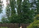 IMG_20240613_170540.jpg
