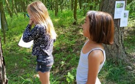 1dez8qjbrf_____IMG_0566