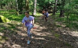 1dez8qjbrf_____IMG_0566