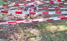 1dez8qjbrf_____IMG_0566