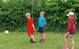 qjzusjg54t_____IMG_20240619_083941