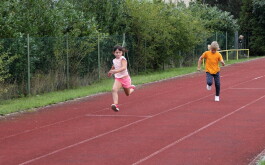 m3p62uxy6f_____IMG_2741