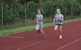 m3p62uxy6f_____IMG_2741