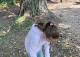IMG_4099.jpg