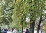 20241002_143556.jpg