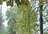 20241002_153058.jpg
