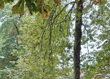 20241002_153108.jpg
