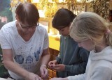 IMG_20241002_103929.jpg