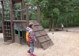 IMG_20241002_114609_1.jpg