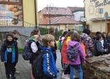 IMG_20241002_091057.jpg