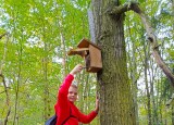 IMG-20241011-WA0007.jpg