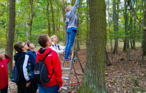 7i02vwoco1_____IMG-20241011-WA0007