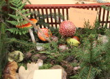 IMG_2875.JPG