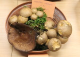 IMG_2892.JPG