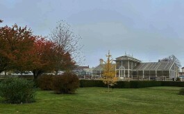 rz0kwnjzdg_____462536742_574353471706295_3431616985860751464_n