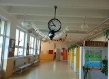 IMG_20241104_061830_942.jpg