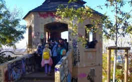 9bnq4pyktn_____IMG_20241101_103202