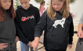 n3igll9jkg_____IMG_1971