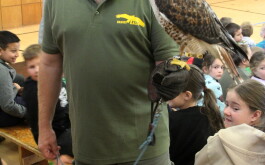 lx6upqzfkp_____IMG_3236