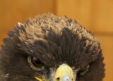 IMG_3195.JPG