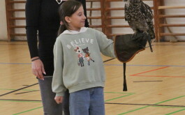 lx6upqzfkp_____IMG_3236