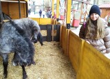 IMG_20241204_133616.jpg