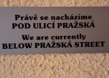 20241204_115102.jpg