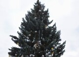 IMG_20241204_132402.jpg
